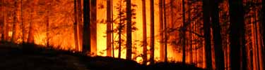 Night ignitions on a prescribed fire